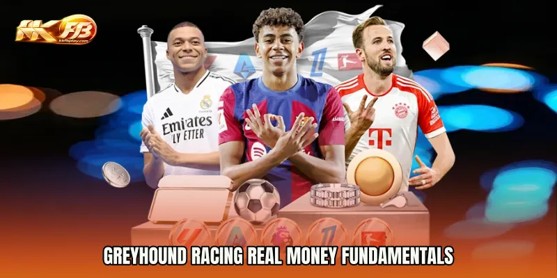 Greyhound Racing real money fundamentals